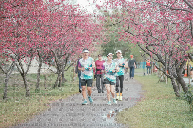 2026左岸竹東櫻花馬拉松Zhudong Sakura Marathon