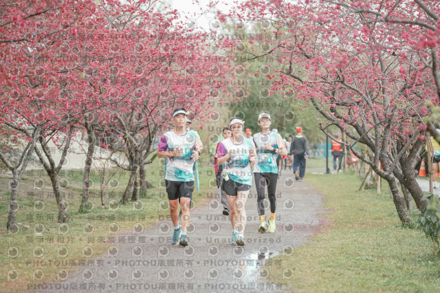 2026左岸竹東櫻花馬拉松Zhudong Sakura Marathon