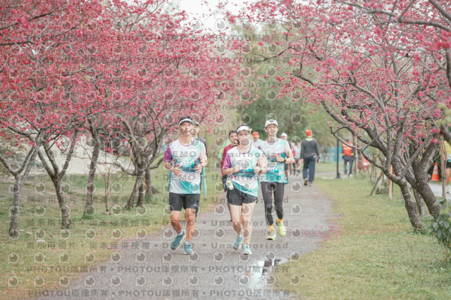 2026左岸竹東櫻花馬拉松Zhudong Sakura Marathon