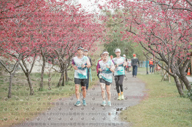 2026左岸竹東櫻花馬拉松Zhudong Sakura Marathon