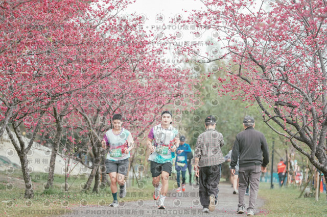 2026左岸竹東櫻花馬拉松Zhudong Sakura Marathon