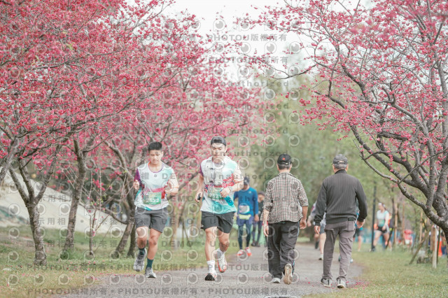2026左岸竹東櫻花馬拉松Zhudong Sakura Marathon