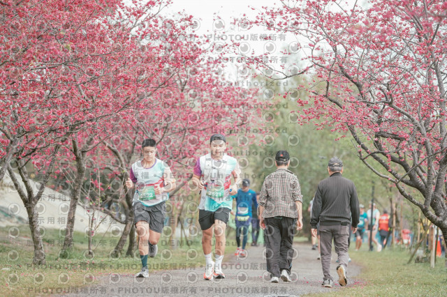 2026左岸竹東櫻花馬拉松Zhudong Sakura Marathon