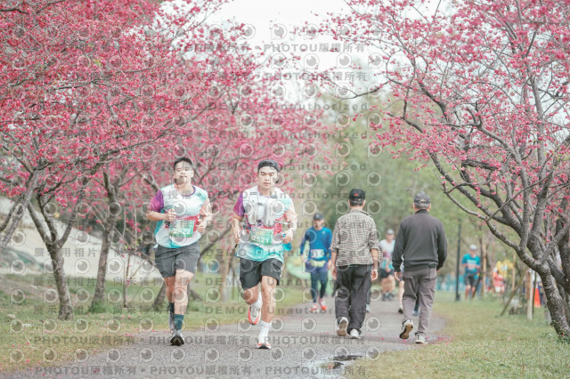 2026左岸竹東櫻花馬拉松Zhudong Sakura Marathon