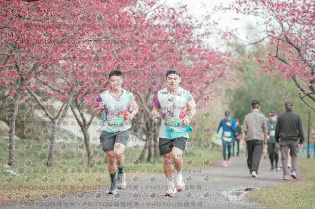2026左岸竹東櫻花馬拉松Zhudong Sakura Marathon