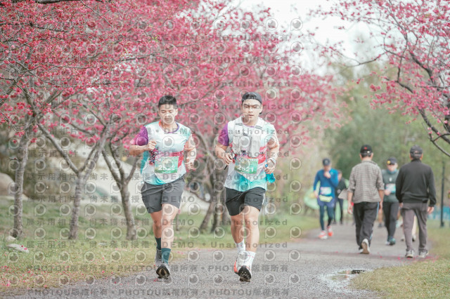 2026左岸竹東櫻花馬拉松Zhudong Sakura Marathon