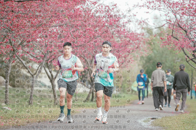 2026左岸竹東櫻花馬拉松Zhudong Sakura Marathon