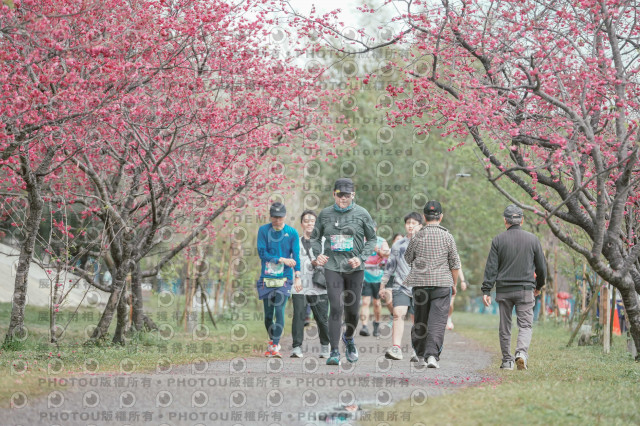 2026左岸竹東櫻花馬拉松Zhudong Sakura Marathon