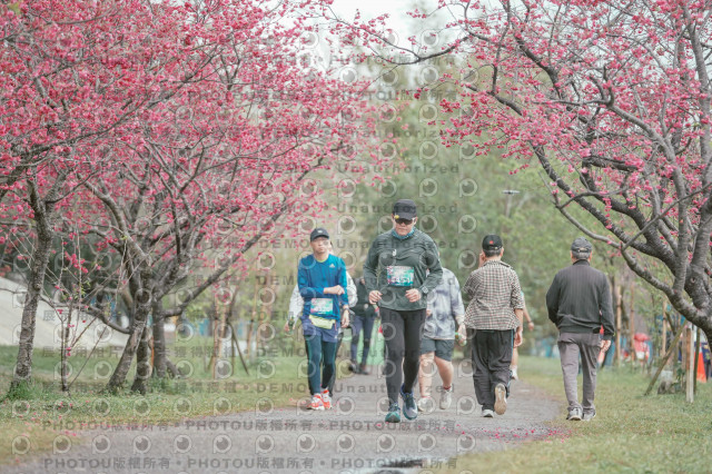 2026左岸竹東櫻花馬拉松Zhudong Sakura Marathon