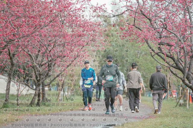 2026左岸竹東櫻花馬拉松Zhudong Sakura Marathon