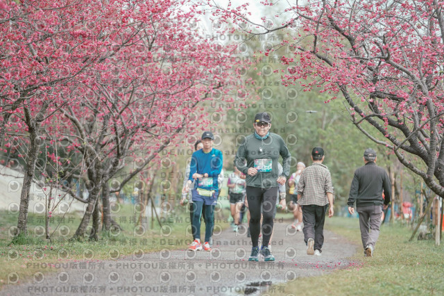 2026左岸竹東櫻花馬拉松Zhudong Sakura Marathon