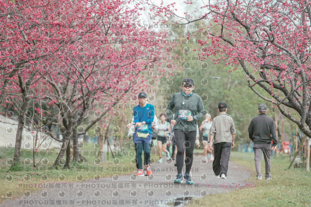 2026左岸竹東櫻花馬拉松Zhudong Sakura Marathon