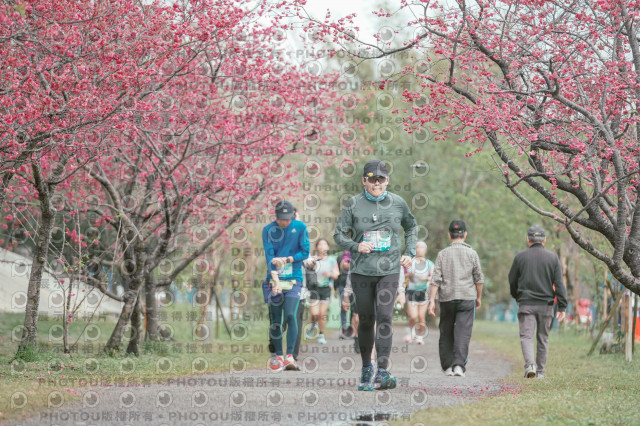 2026左岸竹東櫻花馬拉松Zhudong Sakura Marathon
