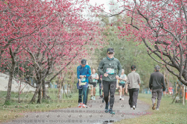 2026左岸竹東櫻花馬拉松Zhudong Sakura Marathon