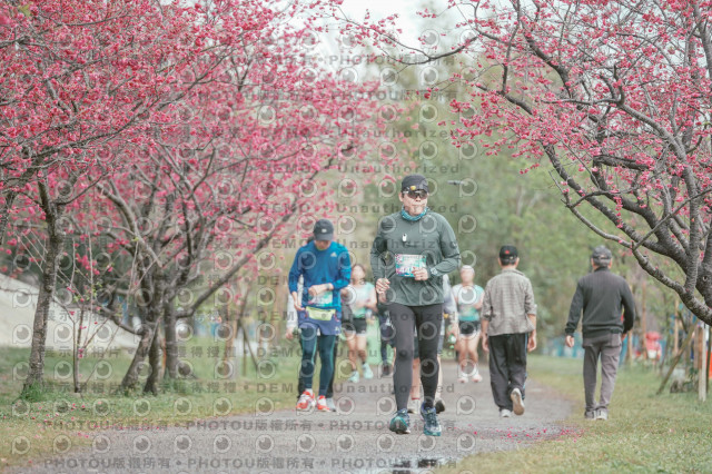 2026左岸竹東櫻花馬拉松Zhudong Sakura Marathon