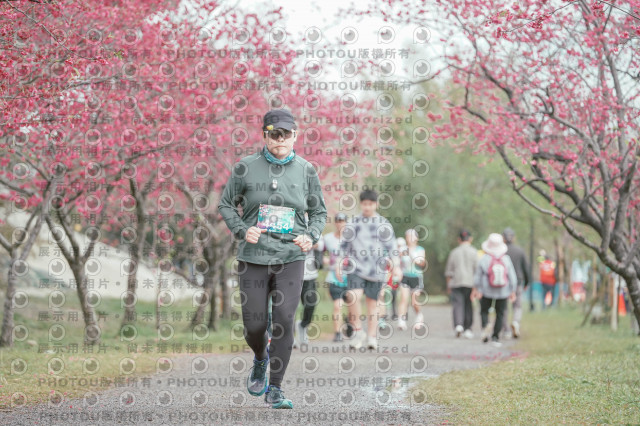 2026左岸竹東櫻花馬拉松Zhudong Sakura Marathon