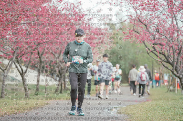 2026左岸竹東櫻花馬拉松Zhudong Sakura Marathon