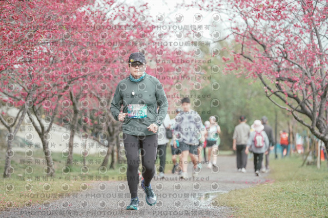 2026左岸竹東櫻花馬拉松Zhudong Sakura Marathon