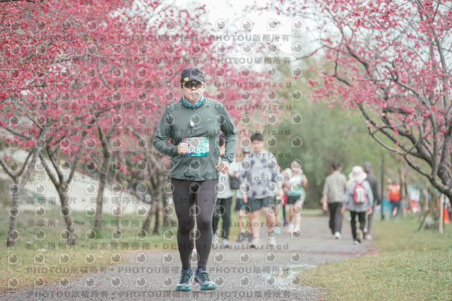 2026左岸竹東櫻花馬拉松Zhudong Sakura Marathon
