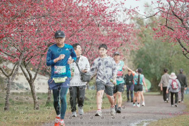2026左岸竹東櫻花馬拉松Zhudong Sakura Marathon