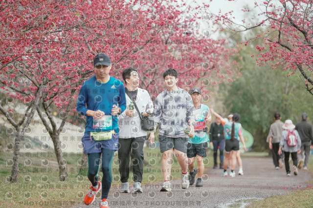 2026左岸竹東櫻花馬拉松Zhudong Sakura Marathon