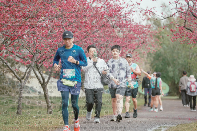 2026左岸竹東櫻花馬拉松Zhudong Sakura Marathon