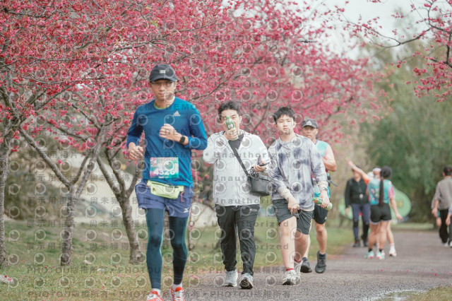 2026左岸竹東櫻花馬拉松Zhudong Sakura Marathon
