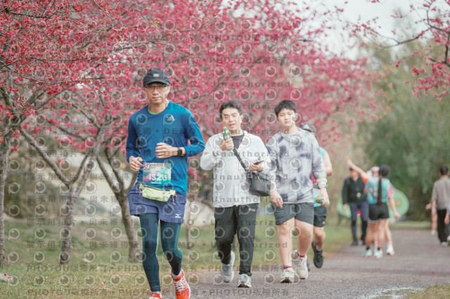 2026左岸竹東櫻花馬拉松Zhudong Sakura Marathon