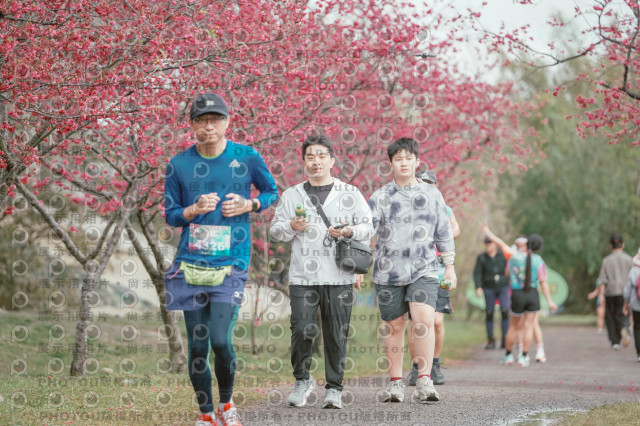 2026左岸竹東櫻花馬拉松Zhudong Sakura Marathon