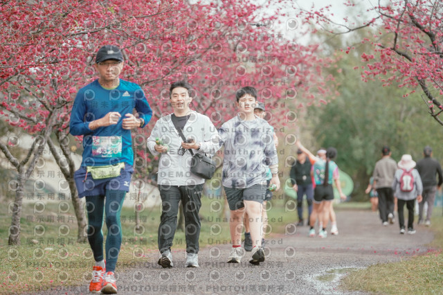 2026左岸竹東櫻花馬拉松Zhudong Sakura Marathon
