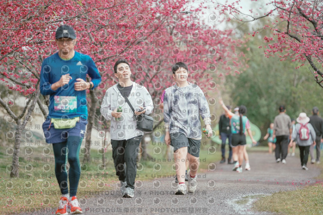 2026左岸竹東櫻花馬拉松Zhudong Sakura Marathon