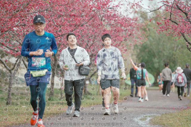 2026左岸竹東櫻花馬拉松Zhudong Sakura Marathon