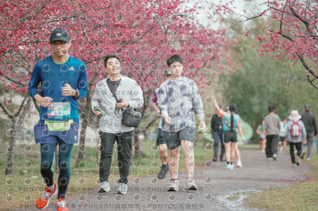 2026左岸竹東櫻花馬拉松Zhudong Sakura Marathon