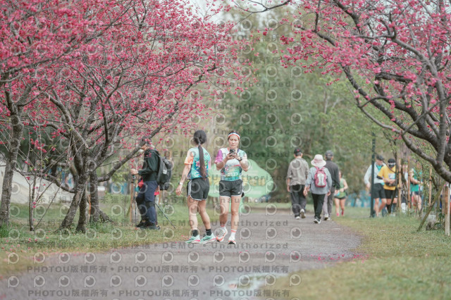 2026左岸竹東櫻花馬拉松Zhudong Sakura Marathon