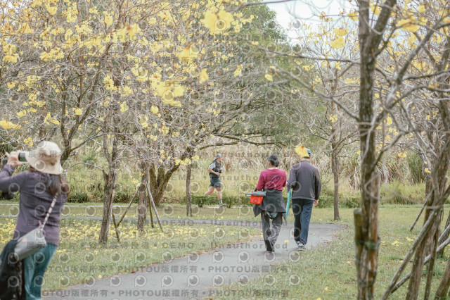 2026左岸竹東櫻花馬拉松Zhudong Sakura Marathon