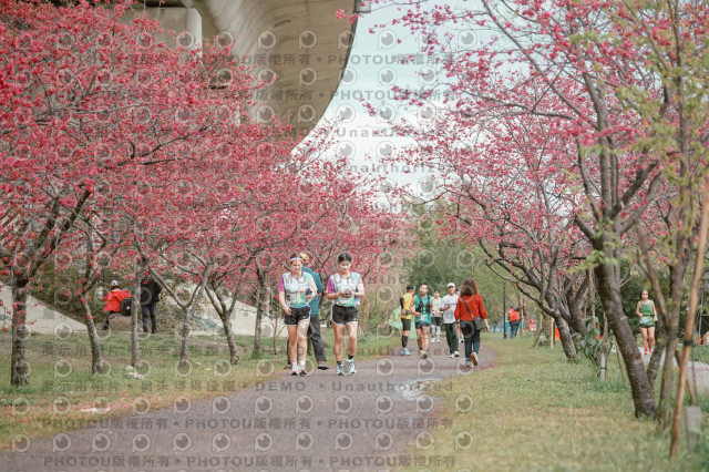2026左岸竹東櫻花馬拉松Zhudong Sakura Marathon
