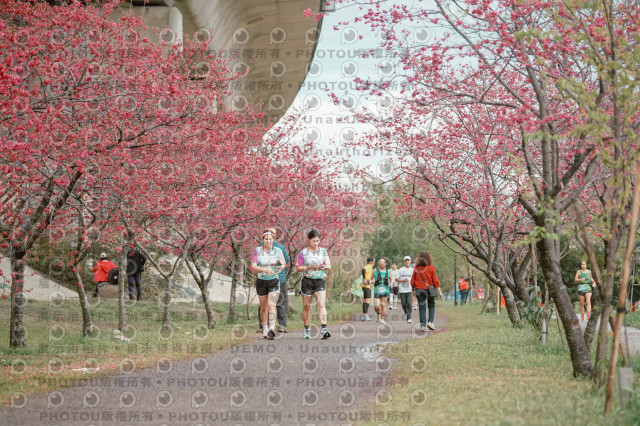 2026左岸竹東櫻花馬拉松Zhudong Sakura Marathon