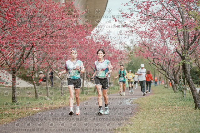2026左岸竹東櫻花馬拉松Zhudong Sakura Marathon