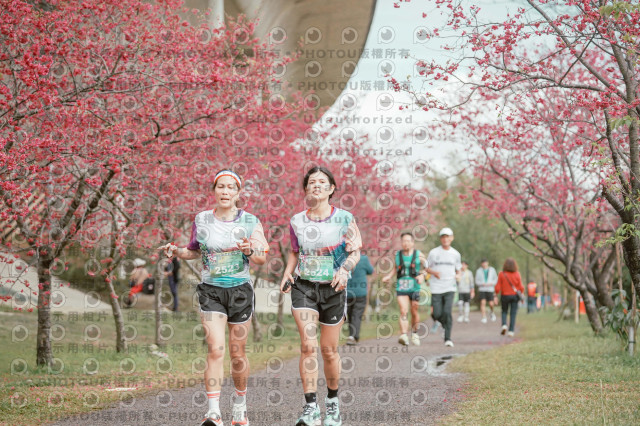 2026左岸竹東櫻花馬拉松Zhudong Sakura Marathon