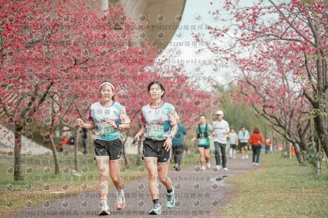 2026左岸竹東櫻花馬拉松Zhudong Sakura Marathon