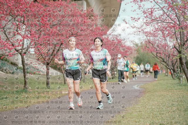 2026左岸竹東櫻花馬拉松Zhudong Sakura Marathon