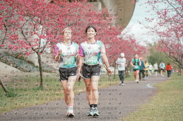 2026左岸竹東櫻花馬拉松Zhudong Sakura Marathon