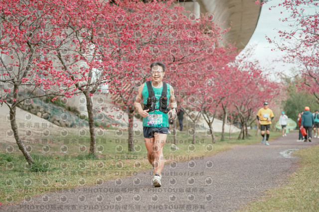 2026左岸竹東櫻花馬拉松Zhudong Sakura Marathon