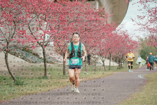 2026左岸竹東櫻花馬拉松Zhudong Sakura Marathon