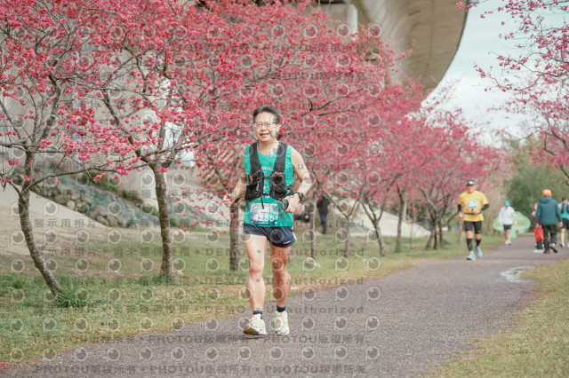 2026左岸竹東櫻花馬拉松Zhudong Sakura Marathon