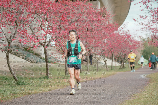 2026左岸竹東櫻花馬拉松Zhudong Sakura Marathon