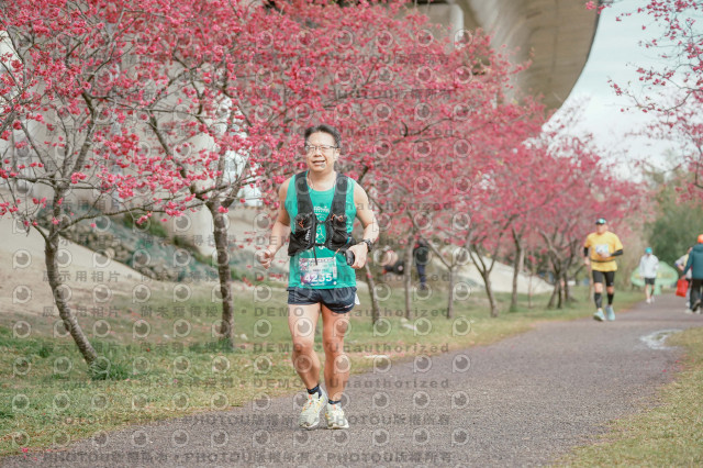 2026左岸竹東櫻花馬拉松Zhudong Sakura Marathon