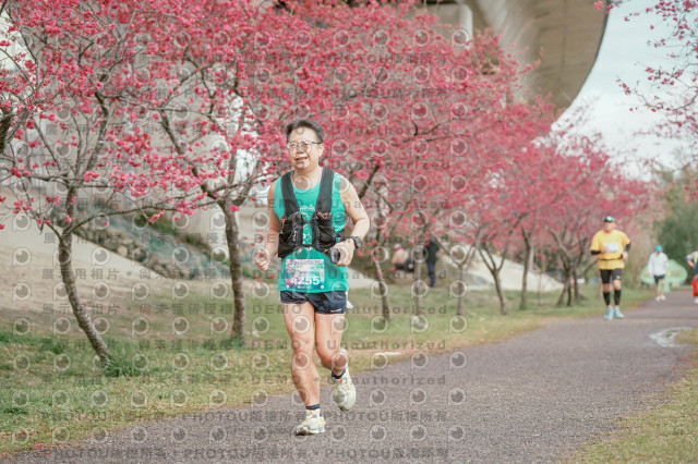 2026左岸竹東櫻花馬拉松Zhudong Sakura Marathon