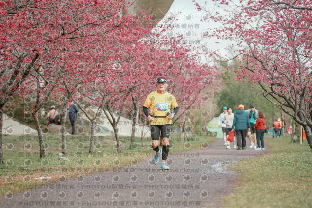 2026左岸竹東櫻花馬拉松Zhudong Sakura Marathon