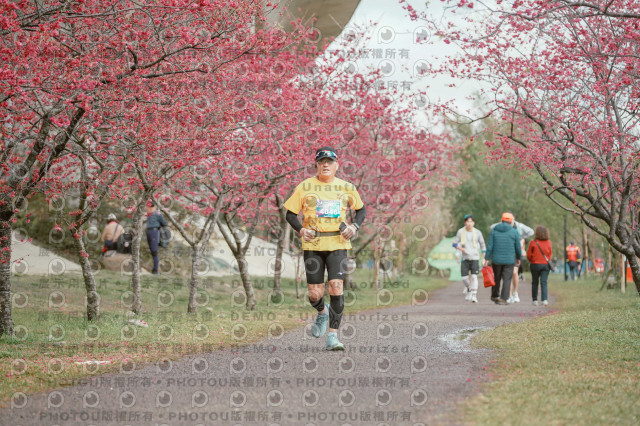 2026左岸竹東櫻花馬拉松Zhudong Sakura Marathon